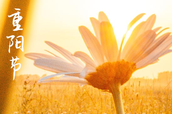 重阳的节令风物 重阳节要登高宴饮