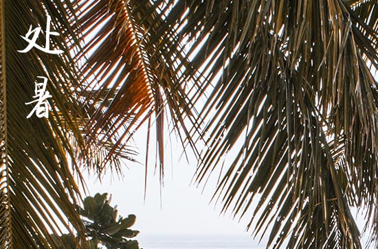 2024年处暑是多少号 2024年8月22日处暑移徙适合吗 2024年处暑是多少号 2024年8月22日处暑移徙适合吗