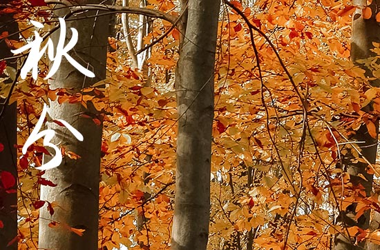 2024年秋分竖蛋的来历