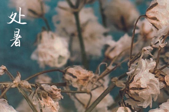 处暑2024年是几月几日星期几 2024年处暑是踏青吉日吗