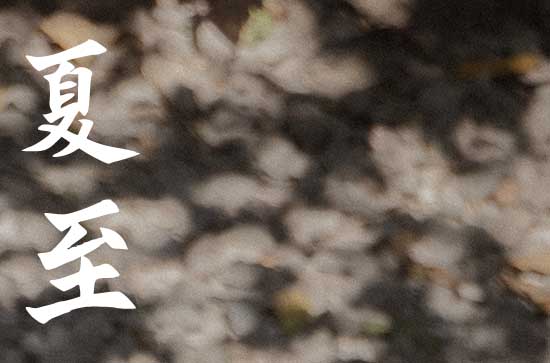 为什么在夏至这天影子最短   夏至日太阳角度有什么变化