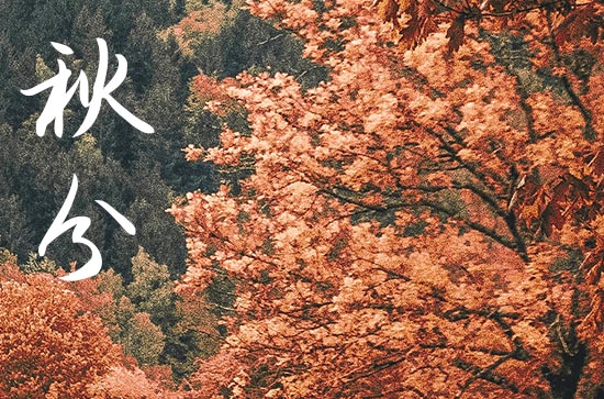 2024秋分养生祝福语