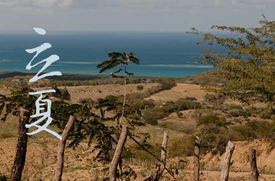 2024年立夏农历时间 2024年立夏是造车器的好日子吗