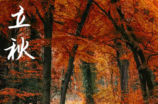 立秋2024年是几月几日星期几 2024年立秋可以喝喜酒吗