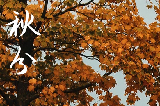 2024年农历几号秋分 2024年9月22日秋分当天制作寿衣好吗