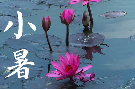 小暑节气的含义