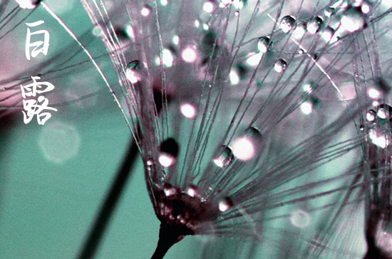 2024年白露农历时间 2024年白露是建造仓库吉日吗