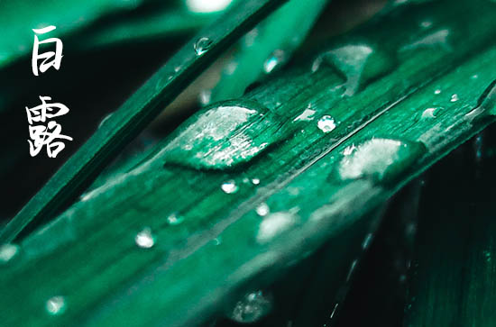 2024年白露农历时间 2024年白露是出差吉日吗