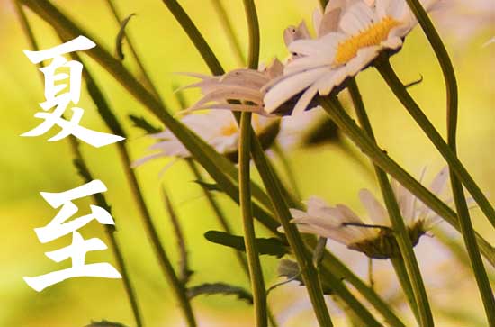 2024夏至具体时间 哪天几点几分夏至