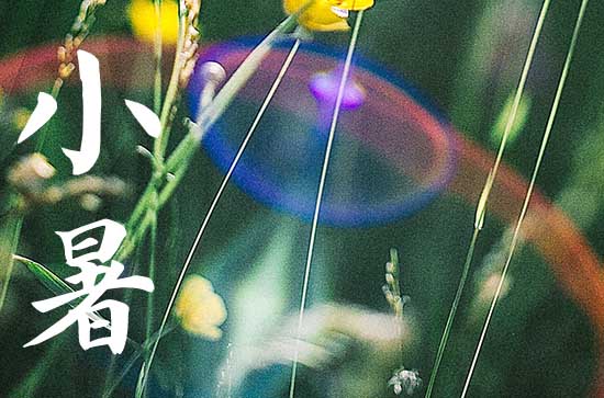 小暑过后的节气是什么 小暑节气的寓意和传统 小暑过后的节气是什么 小暑节气的寓意和传统