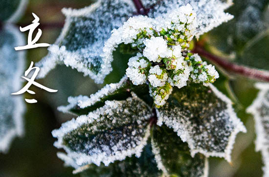 2023年立冬是星期几 2023年立冬适合搬新房子吗 2023年立冬是星期几 2023年立冬适合搬新房子吗