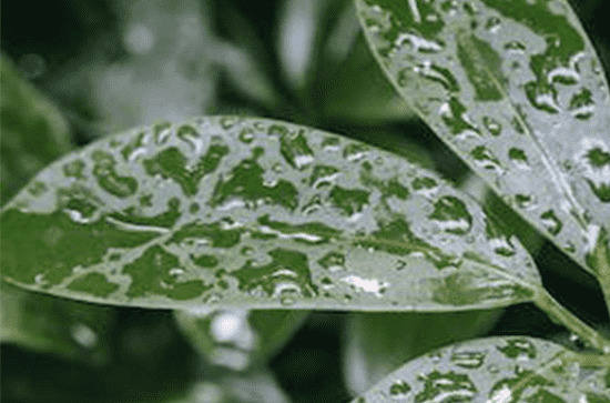 北京大部30日有阵雨或雷阵雨 最高气温将降至26℃ 北京大部30日有阵雨或雷阵雨 最高气温将降至26℃