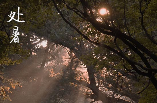 处暑是2024的几月几日 2024年处暑是剖腹产吉日吗