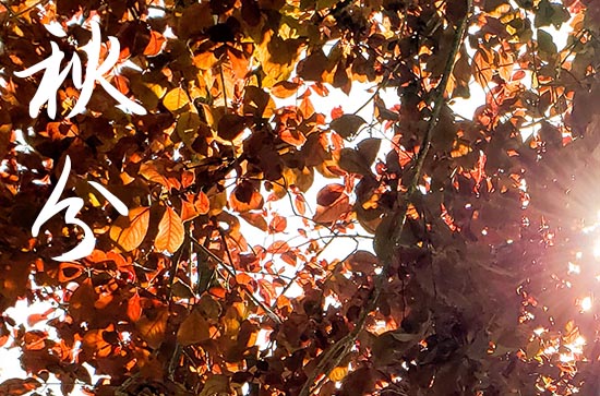 2024年温馨秋分祝福语（精选200句）