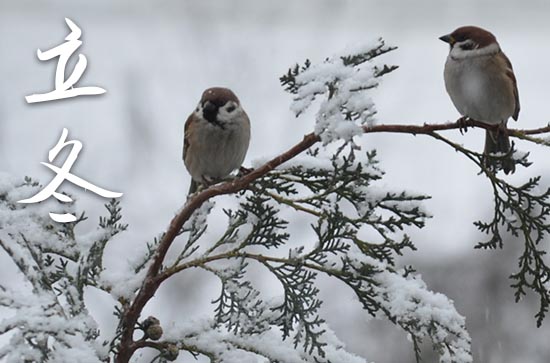 2023年立冬是几点几分几秒 2023年立冬可以开张吗