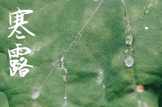 2023寒露是几月几日星期几几点 今年寒露是几日几时几分