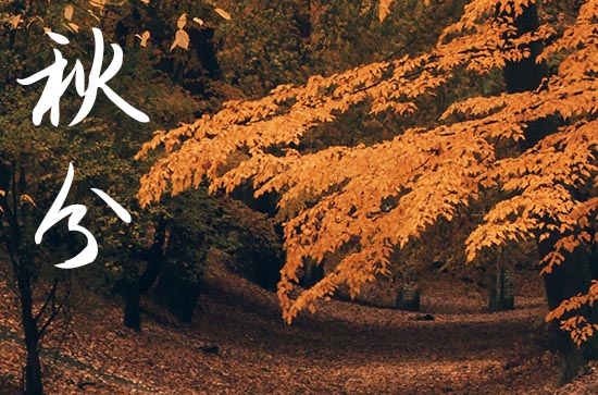 秋分2024年是几月几日星期几 2024年9月22日秋分黄历