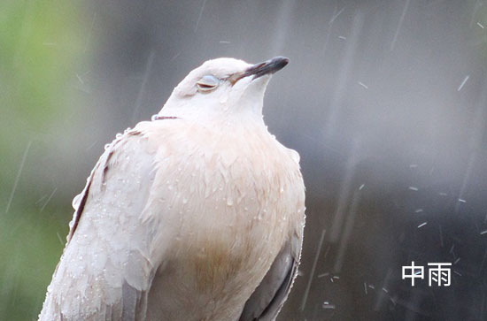 7月2日南通会下雨 今日中雨转小雨温度31℃~25℃