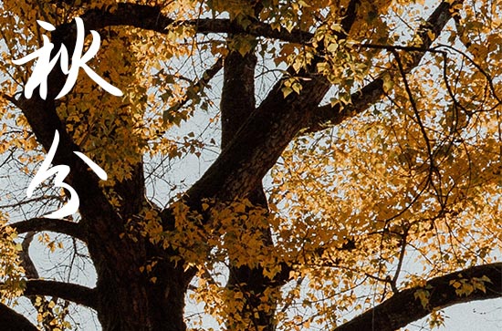 2024年秋分时间是什么时候 2024年9月22日秋分当天冠笄好吗