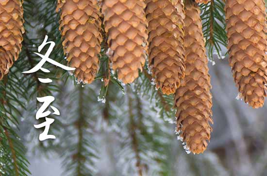 2023年什么时候冬至 2023冬至当天可以堵蚂蚁洞吗