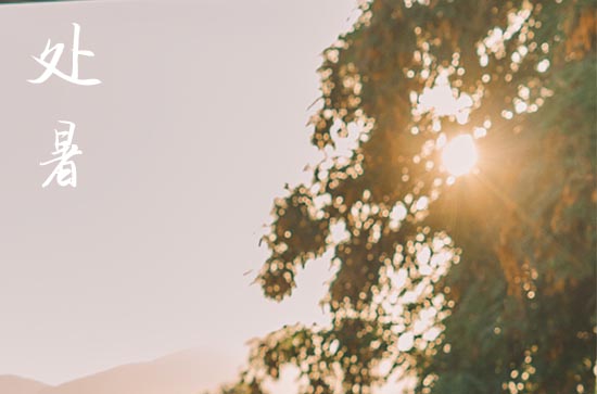 2024年处暑是具体哪一天 2024年处暑立墓碑吉祥吗