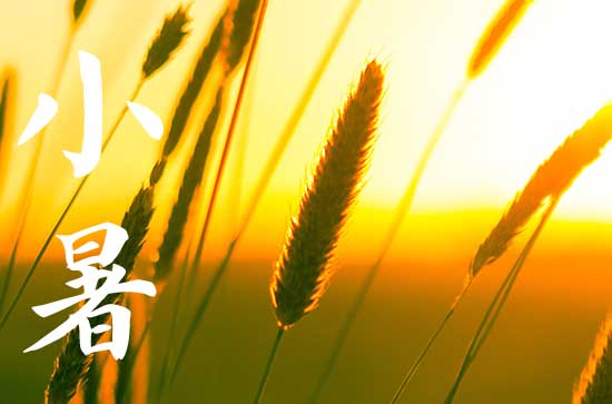 2024小暑是哪天 2024年小暑是放水吉日吗