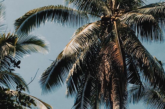 今天几点入伏2023