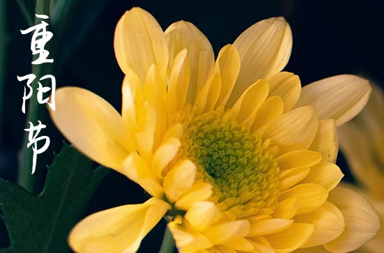 2023年重阳节是几月几号农历 2023年重阳节是几月几号农历