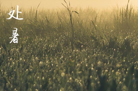 2024年处暑是什么时候时间 2024处暑那天玉石开光好吗 2024年处暑是什么时候时间 2024处暑那天玉石开光好吗