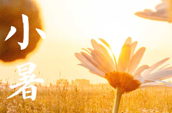 2024年农历几号小暑 2024年小暑适合修造吗