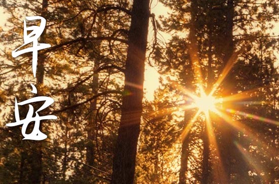 简短早安一句话 充满正能量的早安心语 简短早安一句话 充满正能量的早安心语