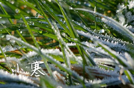 2024年小寒是几九 2024小寒的平均气温多少