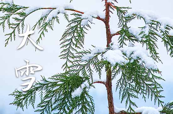 2023年大雪节气几点几分