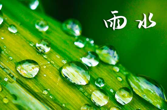 2024年几点几分雨水 2024年雨水节气具体时间
