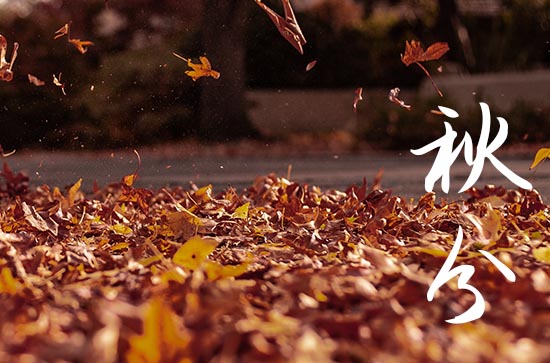 秋分养生祝福语40句精选