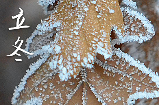 立冬是几月几号2023年 2023年立冬结婚宴吉祥吗 立冬是几月几号2023年 2023年立冬结婚宴吉祥吗