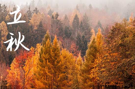 2024年立秋农历时间 2024年立秋弄坐游轮适合吗