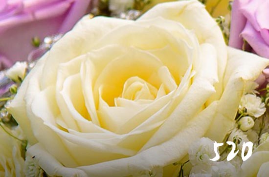 520表白浪漫的句子朋友圈100句