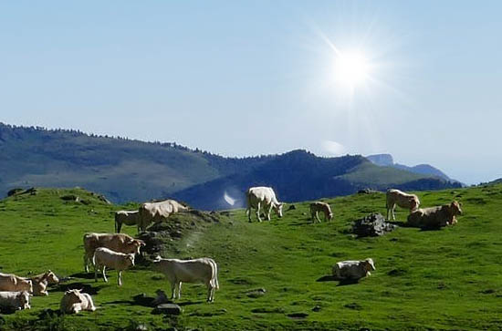 湘西10月27日天气预报:高温23℃~低温6℃,晴,不会下雨 湘西10月27日天气预报:高温23℃~低温6℃,晴,不会下雨