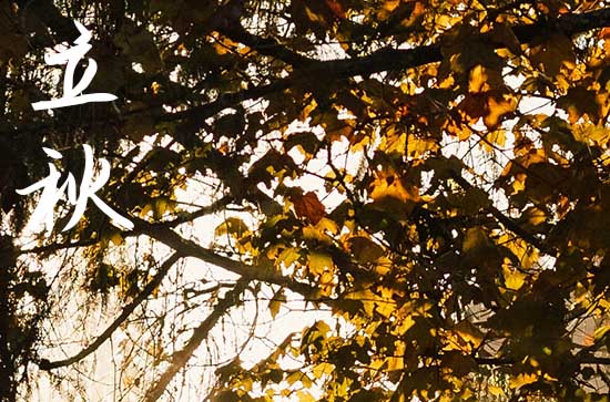 2024年立秋是几月几日 2024年立秋弄动土修造好吗 2024年立秋是几月几日 2024年立秋弄动土修造好吗