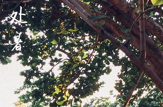 处暑是几月几号2024年 2024年处暑开学吉利吗