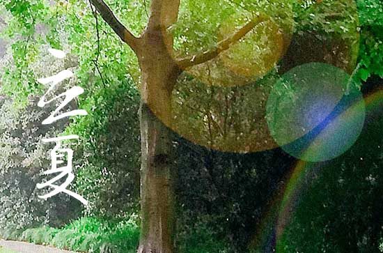 立夏的民俗活动有哪些 立夏的民俗活动有哪些