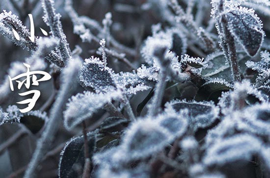 2023年小雪是几月几日?今年哪一天小雪