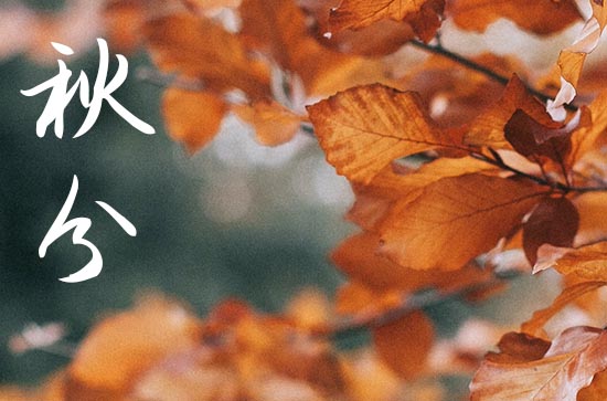 2024年温馨秋分祝福语(精选200句) 2024年温馨秋分祝福语(精选200句)