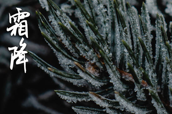 2024年几月份下霜降