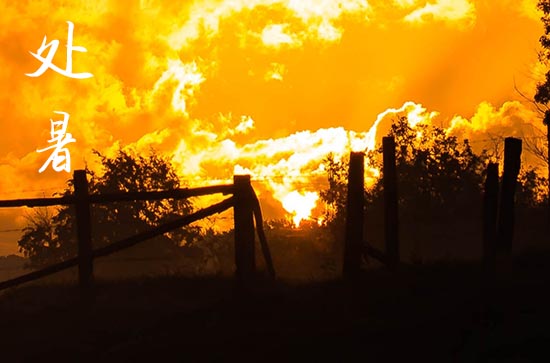 2024年处暑几月几日 2024年处暑是造畜稠吉日吗 2024年处暑几月几日 2024年处暑是造畜稠吉日吗