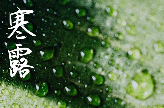 温馨寒露祝福语