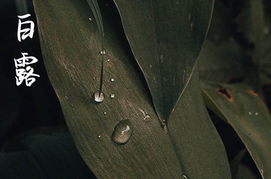 2024白露是农历哪一天 2024年9月7日是白露