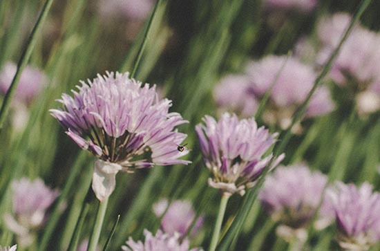 2023年入伏时间和出伏时间