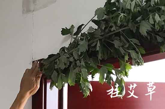 2023端午节祝福语简短8字